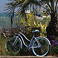Sausalito Summer